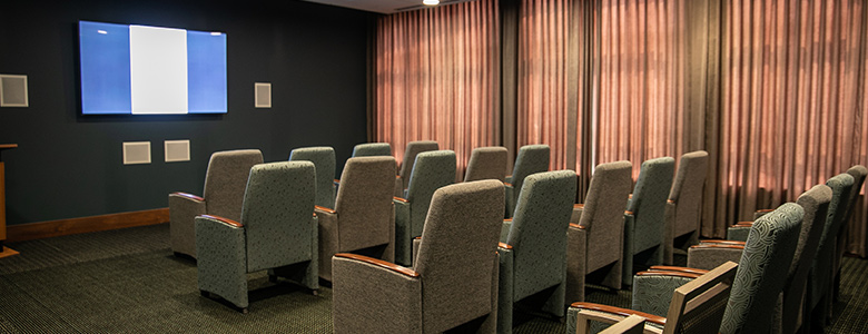 Movie Theater Room